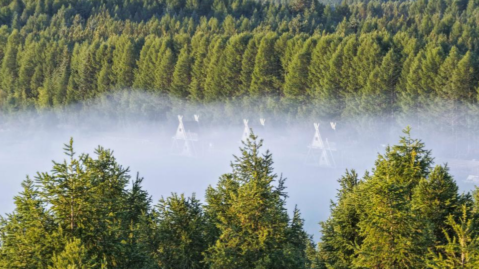新華鮮報 | 春已至！“植”綠山河