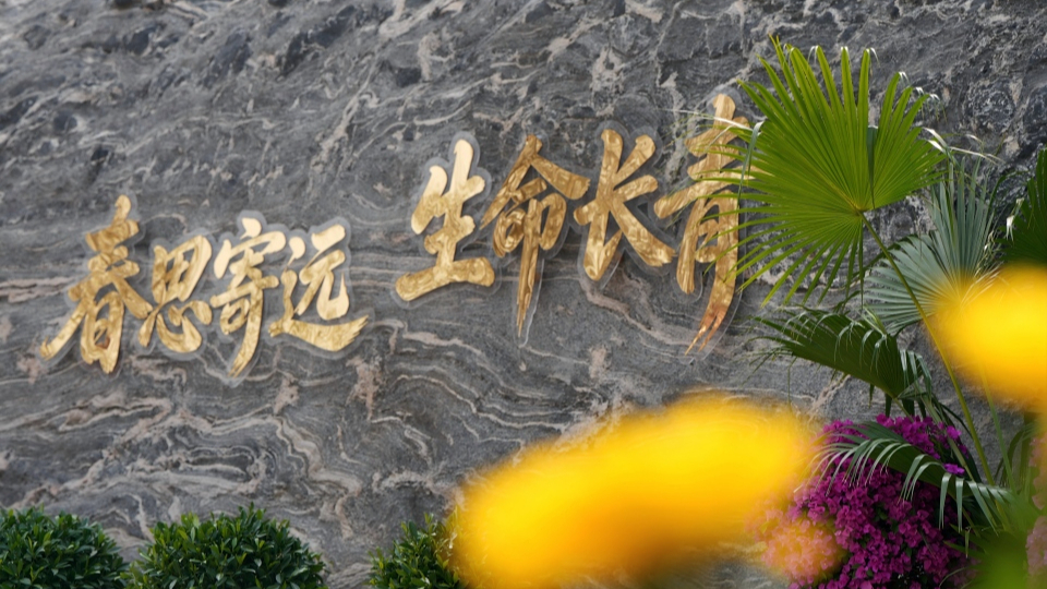 新華網(wǎng)民生觀察丨生態(tài)安葬，從被動接受到主動預(yù)約