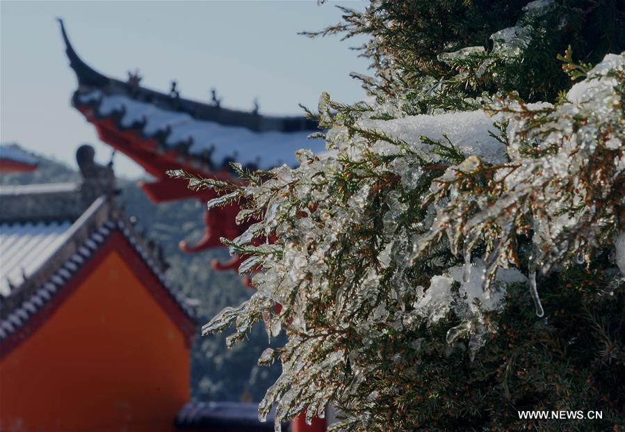 CHINA-HENAN-XINYANG-HUANGBAISHAN NATIONAL FOREST PARK (CN)