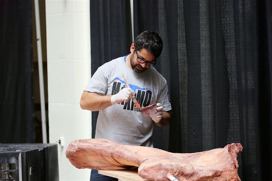 U.S.-CHICAGO-FIELD MUSEUM-PATAGOTITAN MAYORUM-DINOSAUR FOSSIL