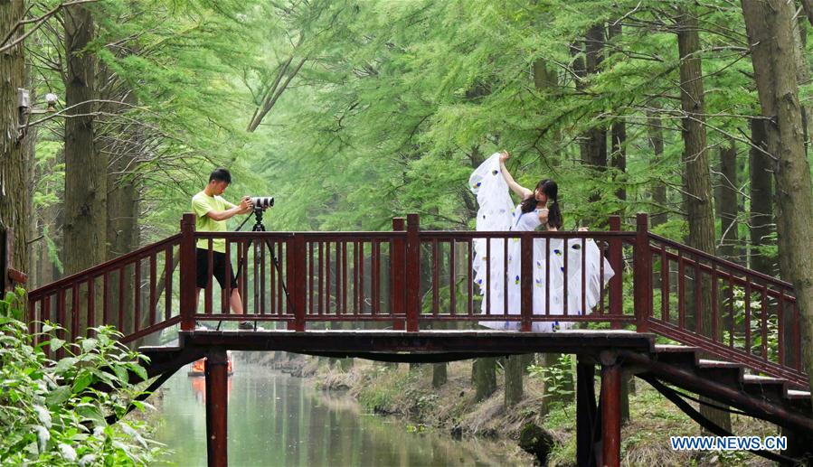 #CHINA-JIANGSU-FOREST-TOURISM(CN)