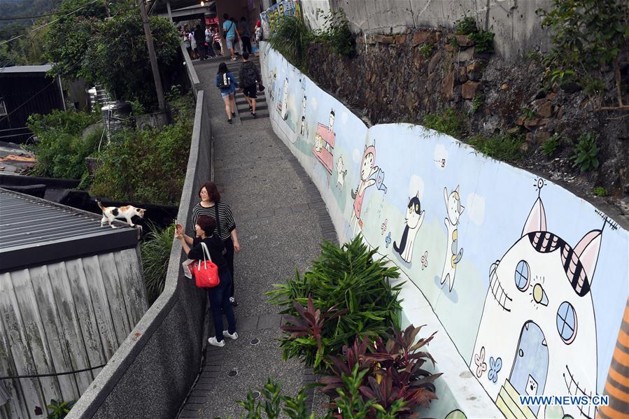 CHINA-XINBEI CITY-HOUDONG TOWN-CAT TOURISM (CN)