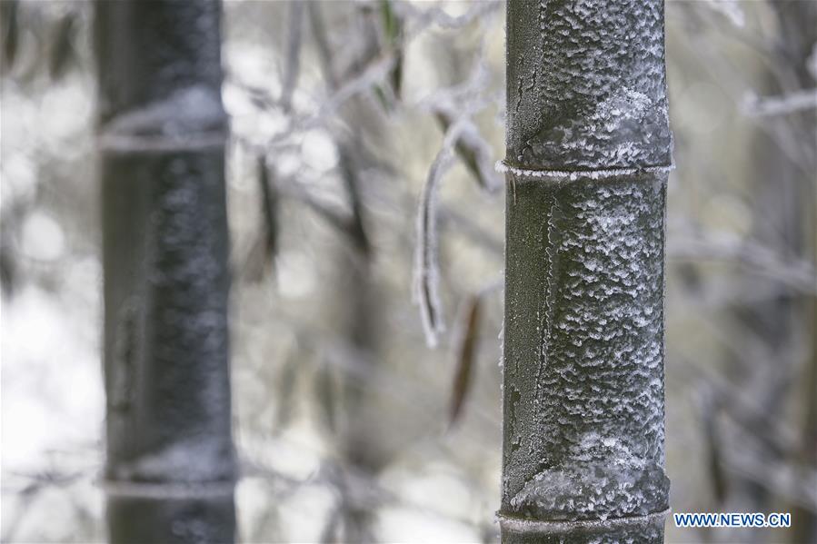 #CHINA-ANHUI-SNOW(CN)