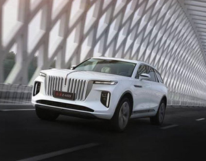 各美其美，美美與共&mdash;&mdash;2020中國企業(yè)家博鰲論壇品牌品鑒交流會側記