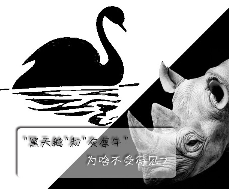 "黑天鵝"和"灰犀牛"為啥不受待見(jiàn)？
