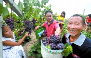 力爭(zhēng)&ldquo;城鄉(xiāng)收入差距持續(xù)縮小&rdquo;　富裕農(nóng)民出實(shí)招