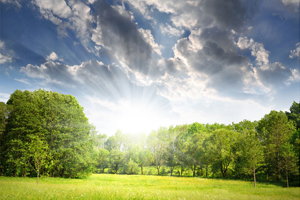 綠增長(zhǎng):環(huán)境問(wèn)題帶來(lái)的新商機(jī)