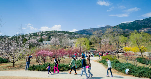 美到無法呼吸！&ldquo;西山晴雪&rdquo;攝影大賽來了