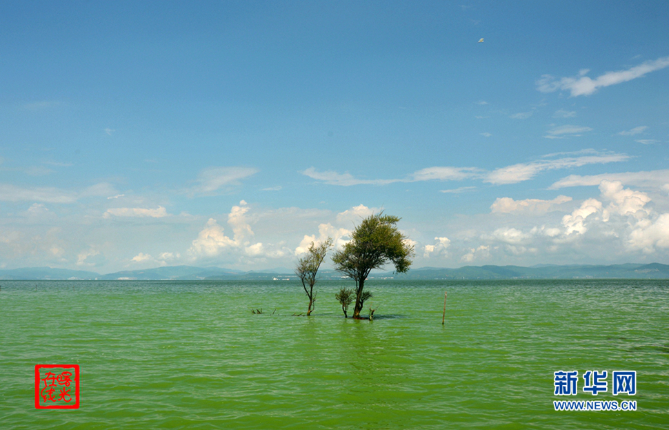 陽光昆明，爽爽的春城