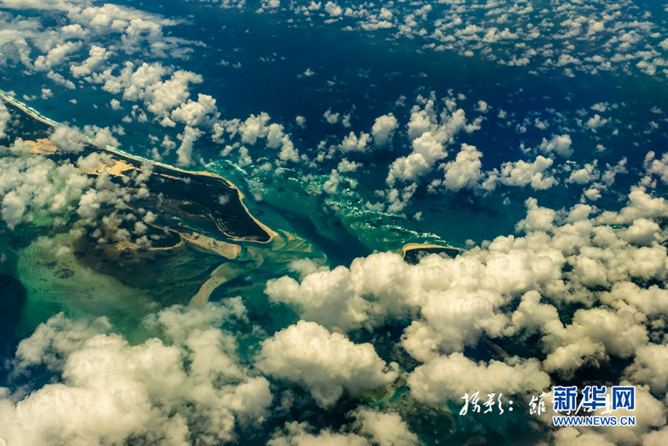 飛躍太平洋，跨越秋與春