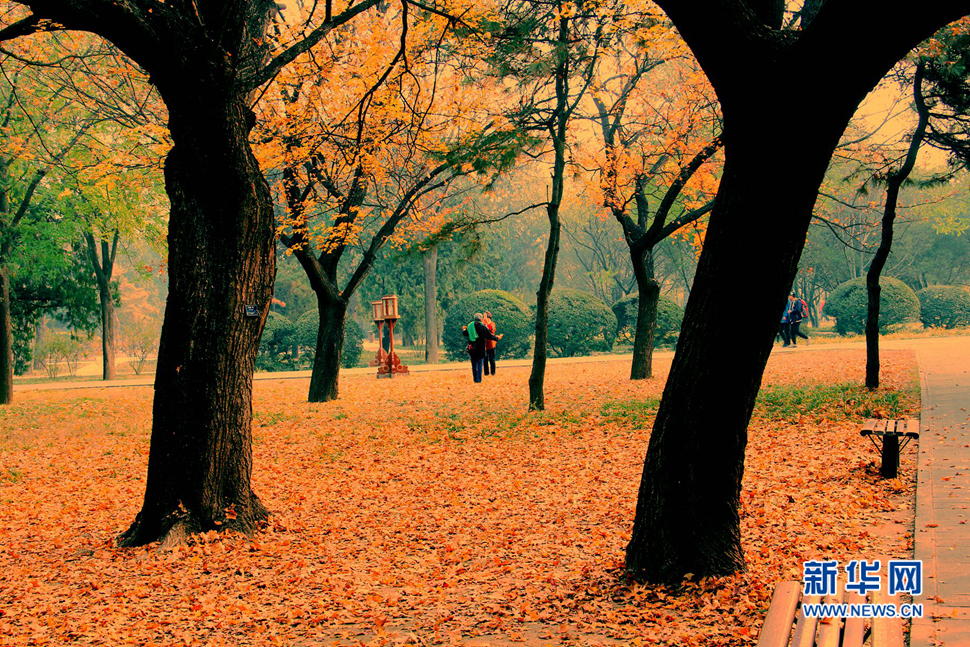 北京天壇公園風(fēng)景