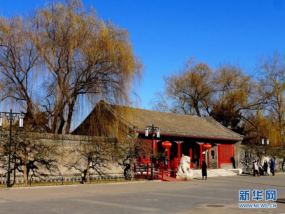 冬至，漫步大觀園