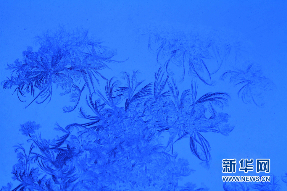 忽如一夜寒冬來，千家萬戶窗花開