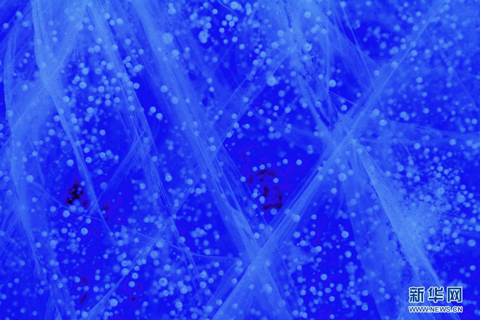 氣泡冰亮晶晶，藍精靈賽繁星