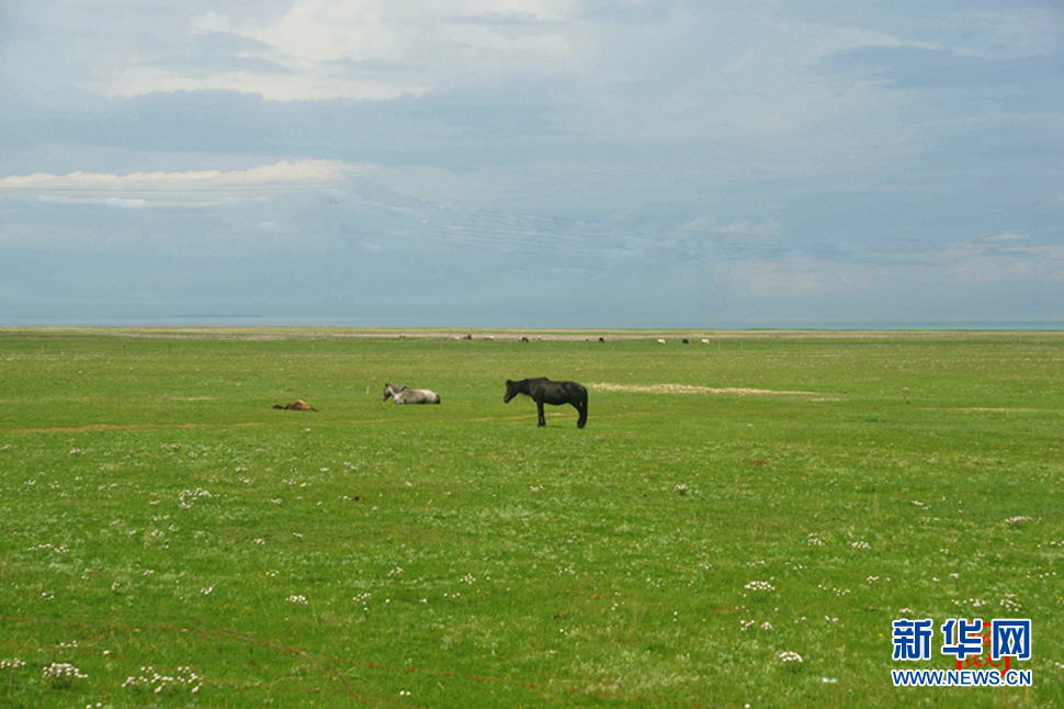 高原放歌之那山、那寺、那朵云