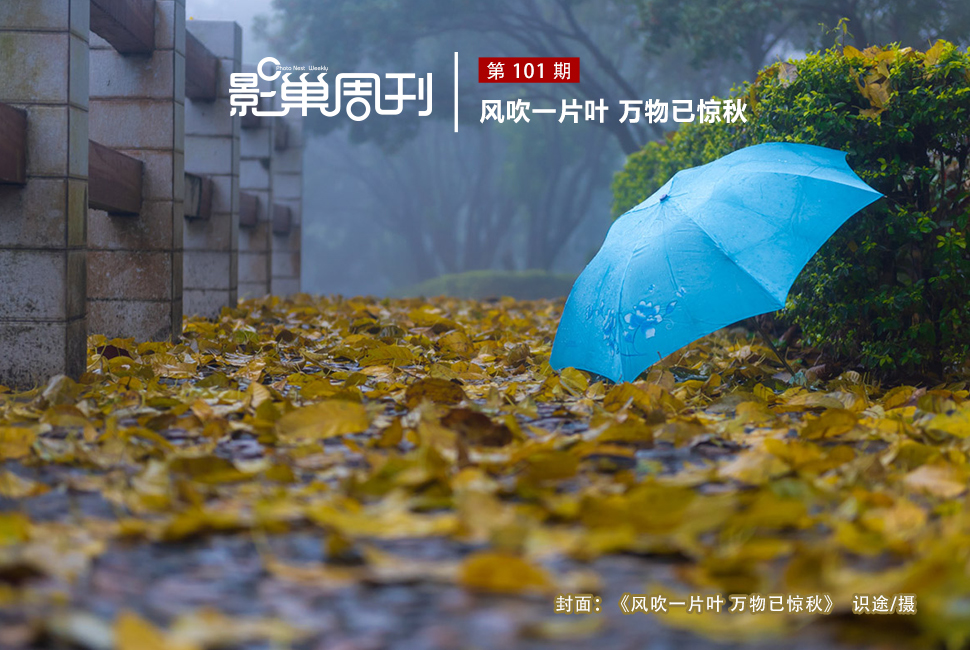 風吹一片葉 萬物已驚秋