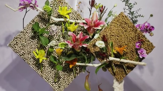 如此動(dòng)人，和百合來(lái)場(chǎng)約會(huì)吧！