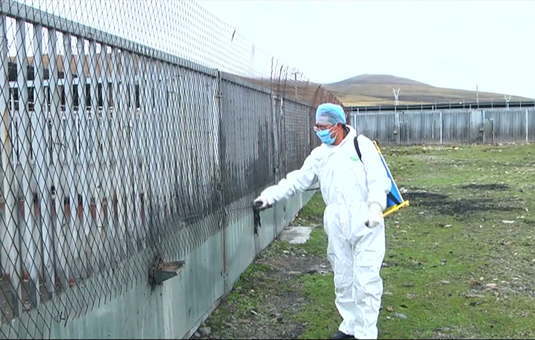 致敬偉大改革｜對話40年，講述身邊的健康故事（第二十一集）&mdash;&mdash;送瘟神