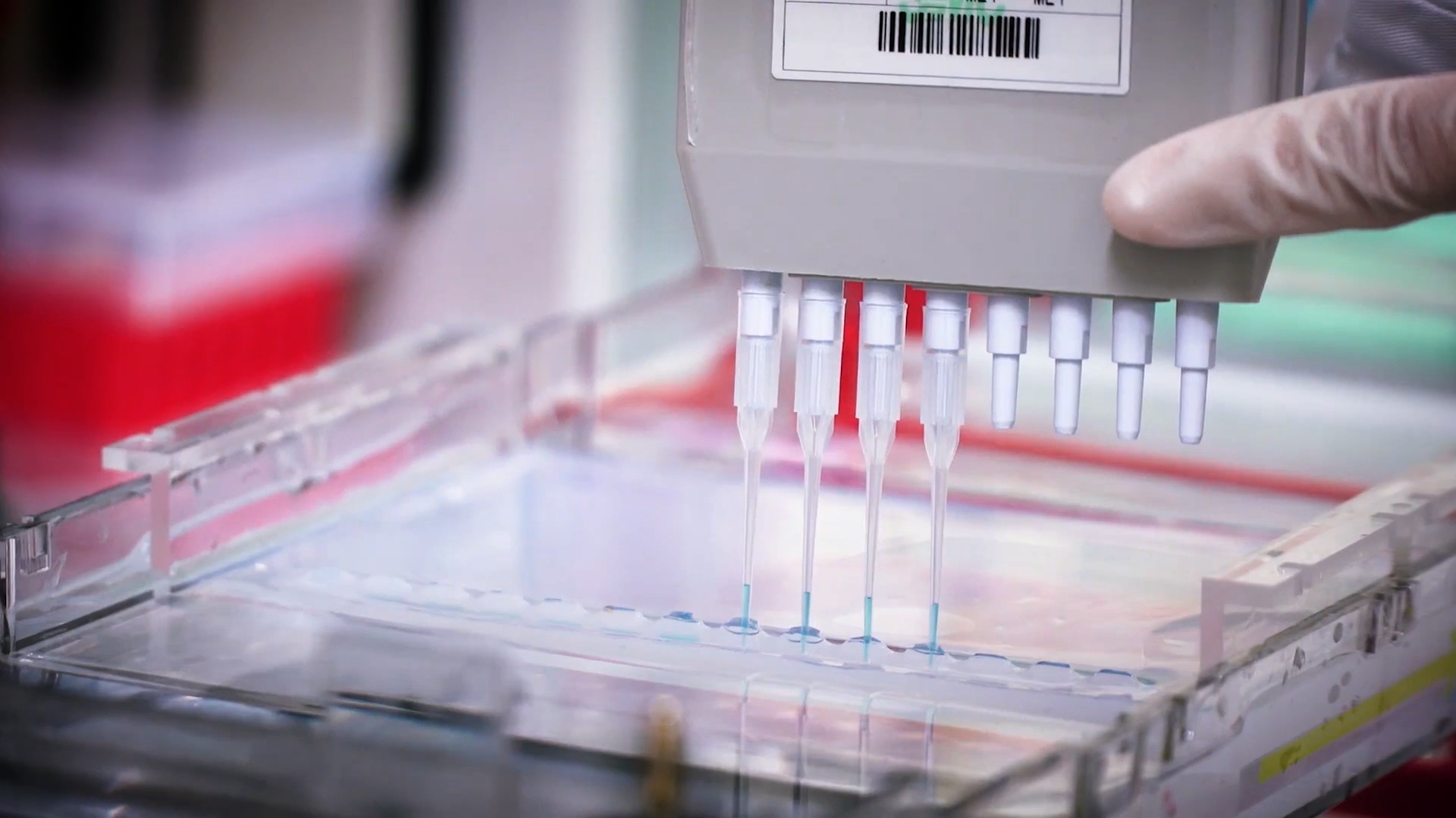 致敬偉大改革｜對(duì)話40年，講述身邊的健康故事32&mdash;打破醫(yī)學(xué)禁區(qū)，探尋生命奇跡