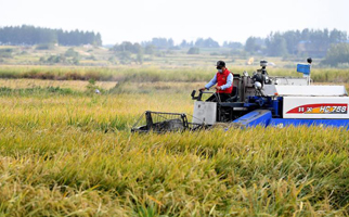 40年，小崗人的18個&ldquo;第一次&rdquo;