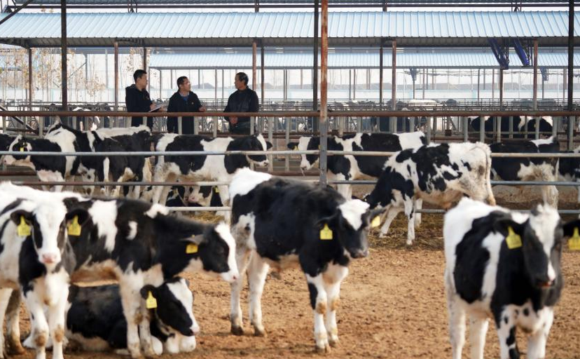 河北巨鹿：紀(jì)檢督查護航脫貧攻堅