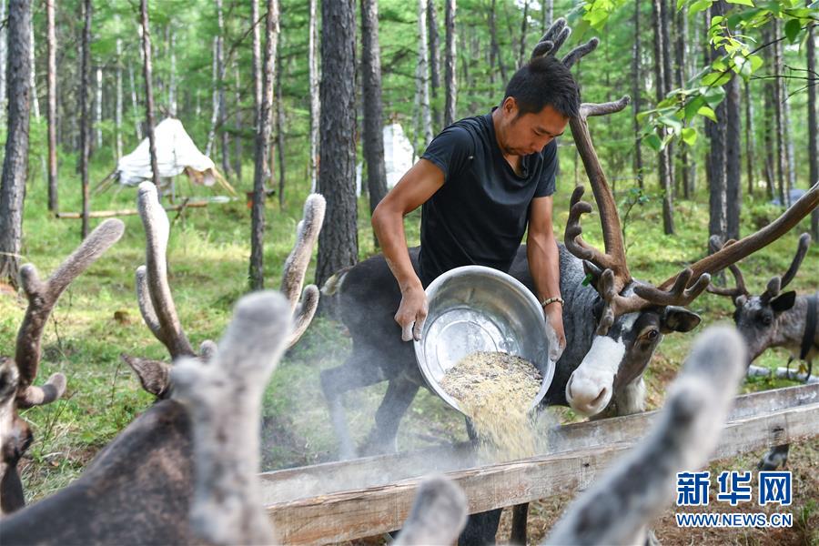 【聚焦脫貧攻堅】這組數(shù)字，來之不易