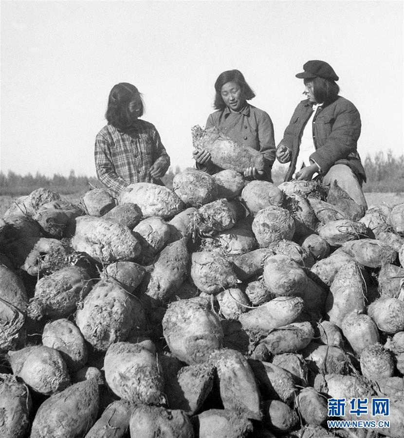 （圖文互動(dòng)）（2）為了&ldquo;中國(guó)號(hào)&rdquo;巨輪揚(yáng)帆遠(yuǎn)航&mdash;&mdash;中國(guó)共產(chǎn)黨領(lǐng)導(dǎo)下的人民軍隊(duì)忠于祖國(guó)、服務(wù)人民啟示錄