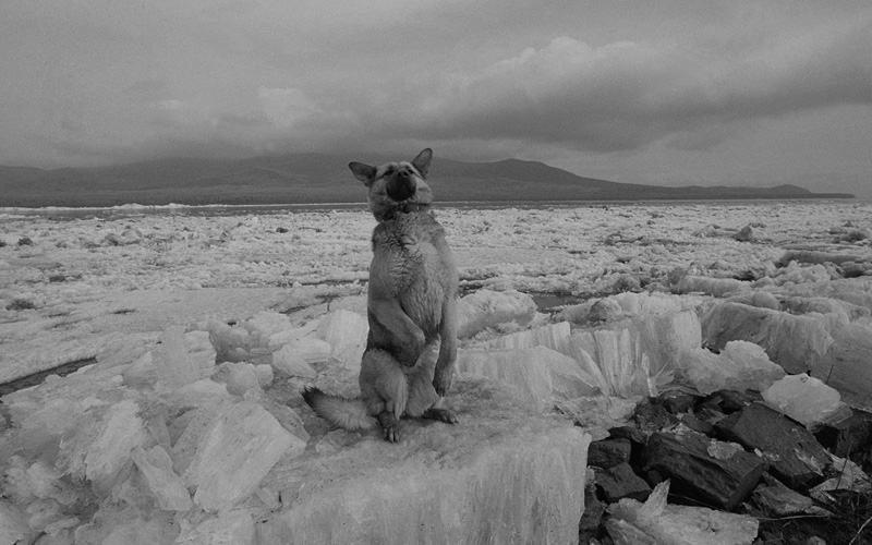 線云強(qiáng)作品:東方第一哨，最早迎接太陽的士兵