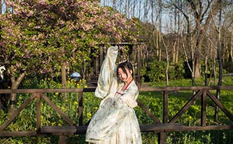 徜徉櫻花花海，來場動漫之旅