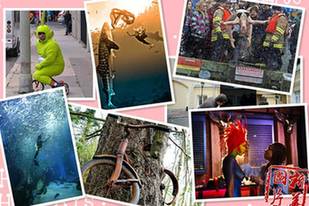 【奇趣周刊】女模與鯊魚(yú)共舞 &ldquo;肛門(mén)旅館&rdquo;亮相