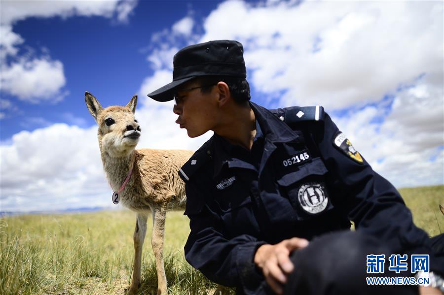 （十九大&middot;讀報(bào)告 話民生）（8）加快生態(tài)文明體制改革，建設(shè)美麗中國