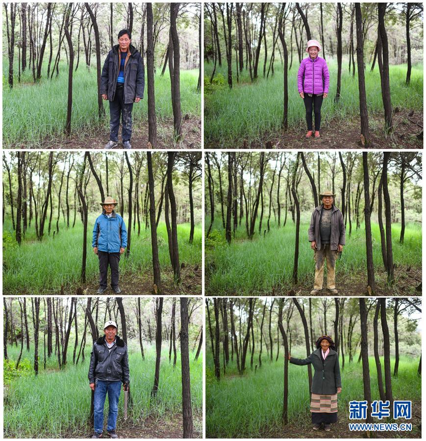 （十九大&middot;讀報告 話民生）（9）加快生態(tài)文明體制改革，建設(shè)美麗中國