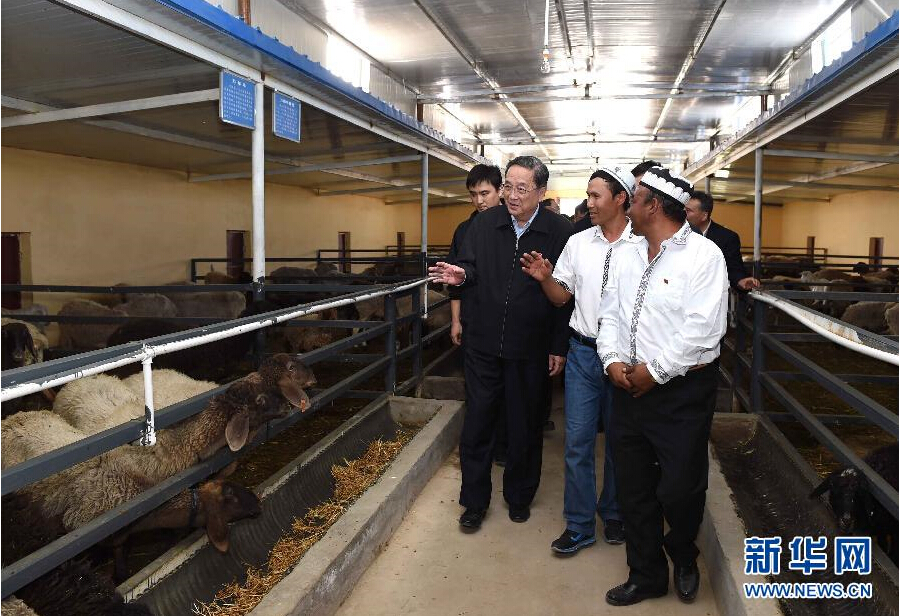 9月27日，中共中央政治局常委、全國(guó)政協(xié)主席、中央代表團(tuán)團(tuán)長(zhǎng)俞正聲率中央代表團(tuán)部分成員赴喀什地區(qū)莎車縣看望各族干部群眾。這是俞正聲在新疆生產(chǎn)建設(shè)兵團(tuán)第三師莎車農(nóng)場(chǎng)實(shí)地察看萬(wàn)只羊養(yǎng)殖基地。新華社記者 饒愛(ài)民 攝