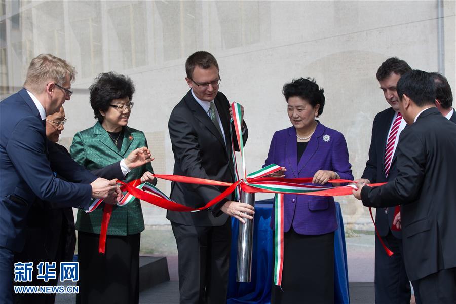 （XHDW）（1）劉延?xùn)|：推動中醫(yī)藥合作成為促進中匈衛(wèi)生合作和人文交流的亮麗&ldquo;名片&rdquo;