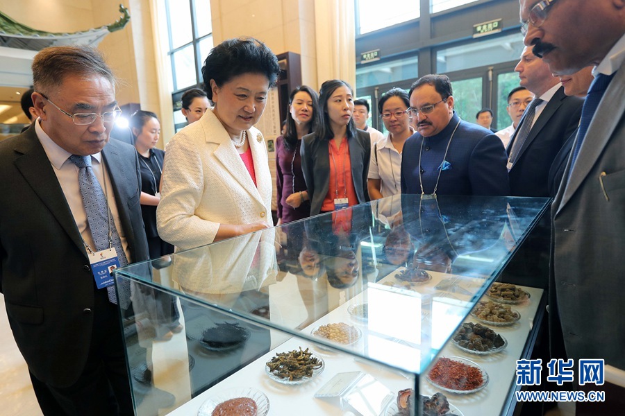 7月6日，金磚國(guó)家衛(wèi)生部長(zhǎng)會(huì)暨傳統(tǒng)醫(yī)藥高級(jí)別會(huì)議在天津開(kāi)幕。這是國(guó)務(wù)院副總理劉延?xùn)|與外賓一起參觀傳統(tǒng)醫(yī)藥文化展。 新華社記者 張玉薇 攝