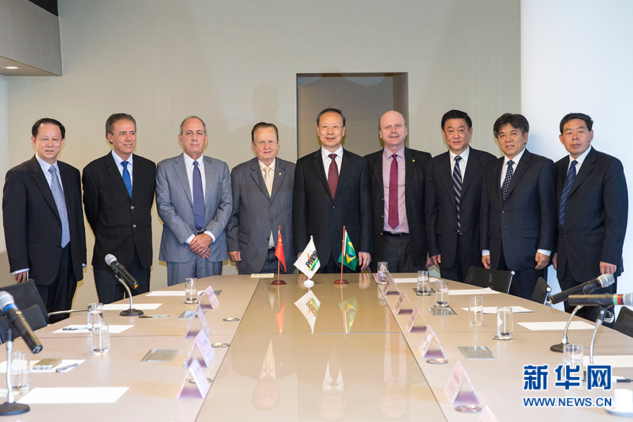 7月11日，在巴西首都巴西利亞，中共中央書記處書記、全國政協(xié)副主席杜青林（中）會見巴西民主運動黨總書記毛羅&middot;洛佩斯（左四）。新華社記者李明攝