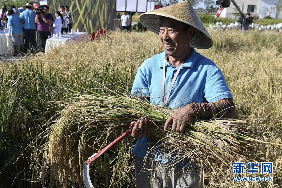 （新華全媒頭條&middot;圖文互動）（2）歷史性飛躍的偉大實踐&mdash;&mdash;中國共產(chǎn)黨引領中國特色社會主義開辟發(fā)展新境界述評