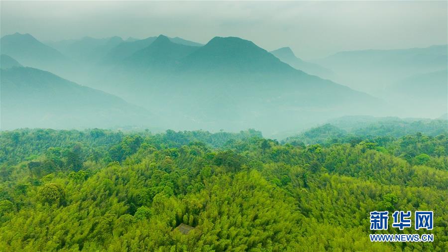 （新華全媒頭條&middot;圖文互動(dòng)）（9）赤水：別了，貧困！