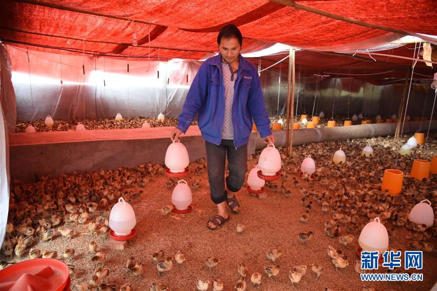 （新華全媒頭條&middot;圖文互動(dòng)）（8）赤水：別了，貧困！