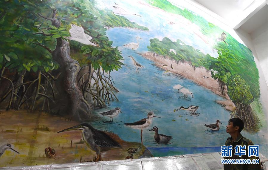 （圖文互動）（5）十年樹木、紅樹成林&mdash;&mdash;&ldquo;海上森林&rdquo;回歸記