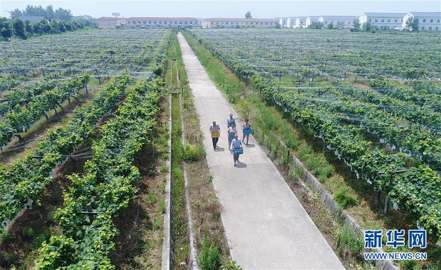 （新華全媒頭條&middot;紀念改革開放40年特稿&middot;圖文互動）（5）向著新航程揚帆奮進！&mdash;&mdash;從小崗精神看中國改革開放40年