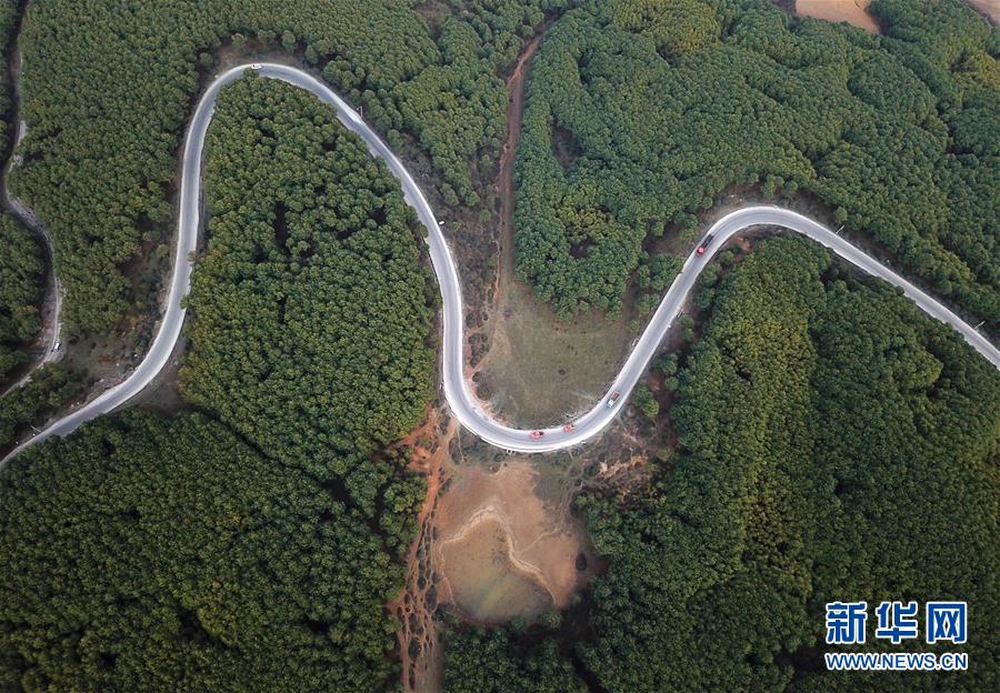 （圖文互動）（4）貴州沙子坡林場：三代護(hù)林員守護(hù)一片&ldquo;林海&rdquo;