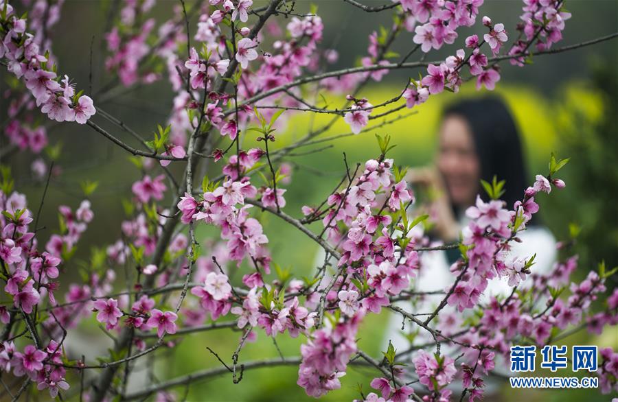 #（社會(huì)）（1）春暖花開迎客來(lái)