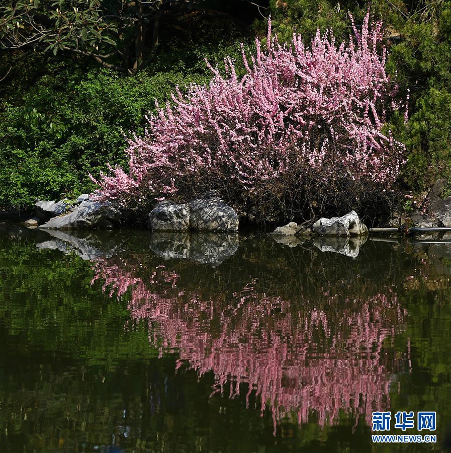 #（視&middot;覺）&ldquo;心&rdquo;花怒放