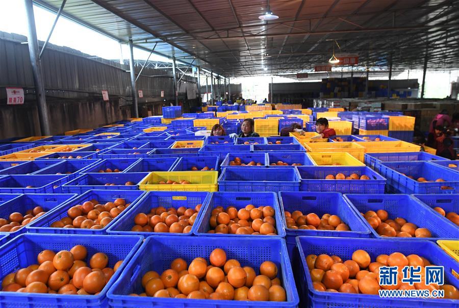 （新華全媒頭條&middot;習(xí)近平新時(shí)代中國特色社會主義思想在基層&middot;改革發(fā)展新氣象&middot;圖文互動）（5）改革創(chuàng)新潮涌動 激活發(fā)展新引擎