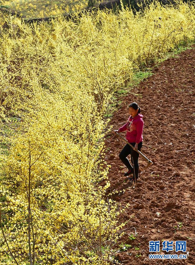 （新華全媒頭條&middot;習(xí)近平新時(shí)代中國特色社會主義思想在基層&middot;改革發(fā)展新氣象&middot;圖文互動）（6）改革創(chuàng)新潮涌動 激活發(fā)展新引擎