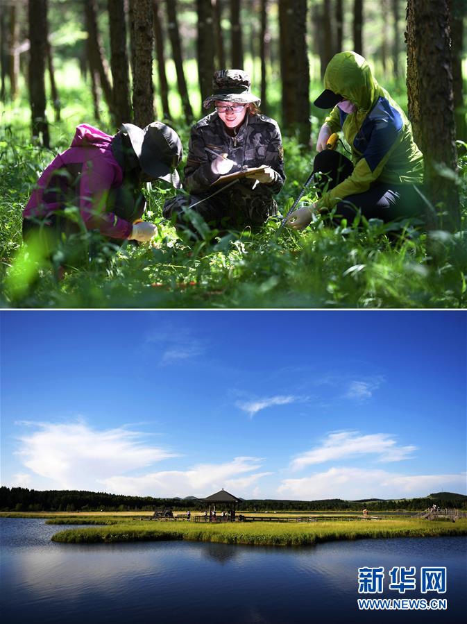 (新華全媒頭條·圖文互動(dòng))(4)領(lǐng)航新時(shí)代中國(guó)經(jīng)濟(jì)航船——從中央財(cái)經(jīng)領(lǐng)導(dǎo)小組會(huì)議看以習(xí)近平同志為核心的黨中央駕馭中國(guó)經(jīng)濟(jì)