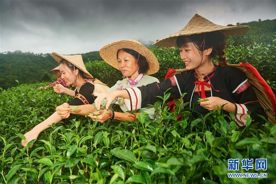 (新華全媒頭條·潮起海之南·圖文互動)(7)春潮拍岸千帆進——海南特區(qū)改革開放30年紀實