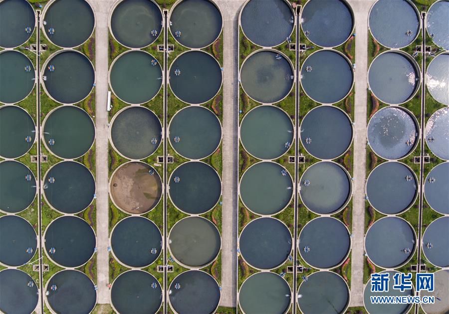 (天空之眼)(3)“天空之眼”瞰雅安