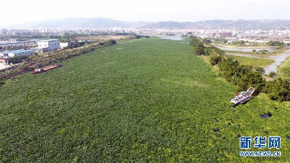 （圖文互動）（1）&ldquo;白練&rdquo;變&ldquo;黑龍&rdquo;，江河變&ldquo;草原&rdquo;－－粵東母親河為何污染20多年難治理？
